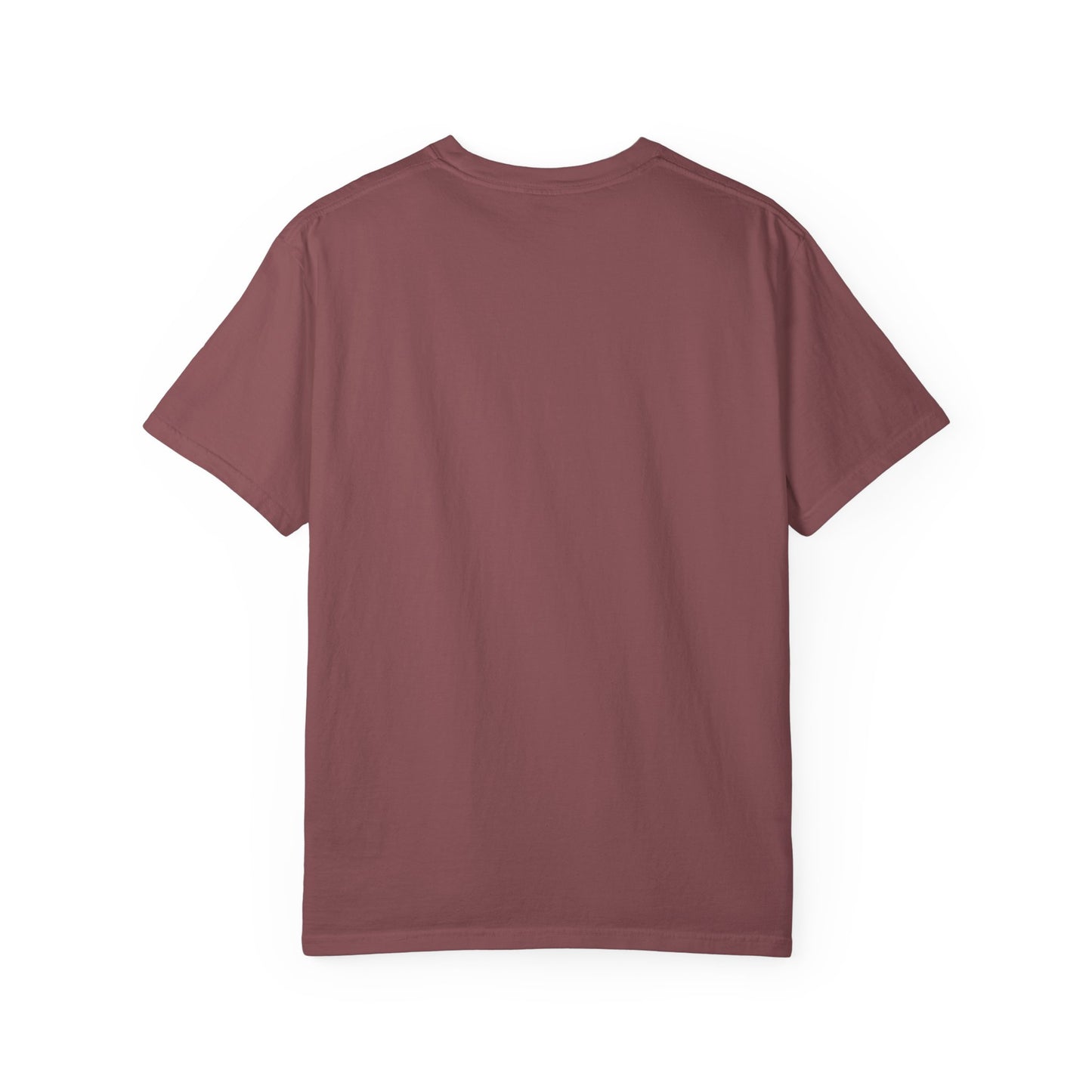 pigeon shirt man bird