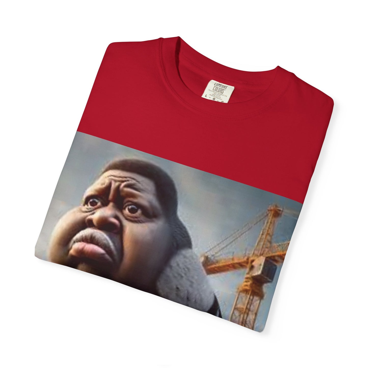 pigeon shirt man bird
